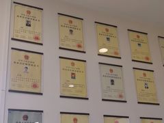 -美联众合动物医院·24h转诊中心