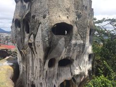 -疯狂屋