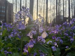 -上海交通大学闵行校区-包玉刚图书馆