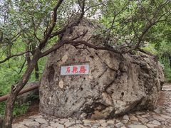 -阳台山自然风景区