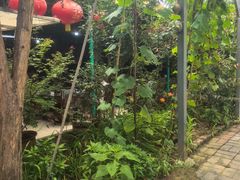 -姥家大锅台水库渔家