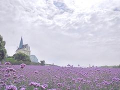 -花博汇(知音花月夜)
