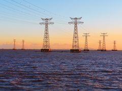 -宝安西湾红树林湿地公园