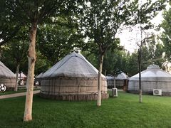 -九十九顶毡房(阜石路店)