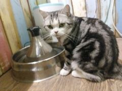 -小时光咖啡馆(开森度假森林店)