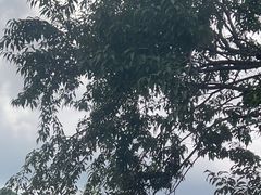 -本溪关山湖风景区