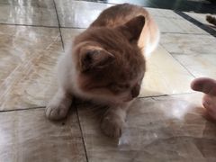 -龙达温泉生态城