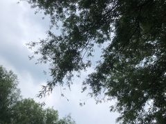 -丁香湖公园