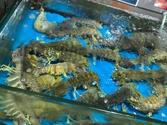 水产区-东江海鲜酒家(客村店)