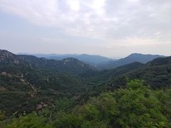 -大岭沟猕猴桃谷风景区