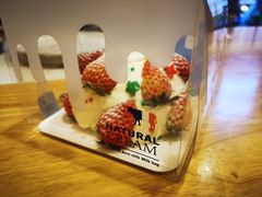 -KOMUGI 小麦家(新地假日广场店)