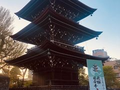 -医王山·飞騨国分寺