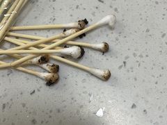-瑞派宠物医院·CT影像中心·猫友好医院(奥城店)