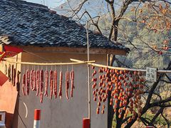 -杨家堂村