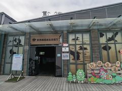 -华侨城湿地公园