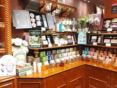 -布兰兔的植物庄园(杭州南宋御街店)