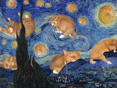 -杭州小笼包(龙翔路店)