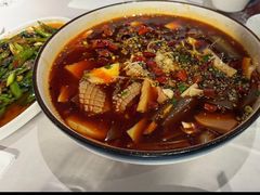 -尽膳·鱼鲜川菜(宽窄巷子店)