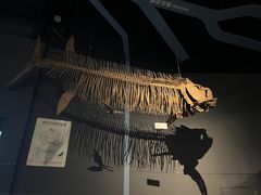 -重庆自然博物馆(新馆)