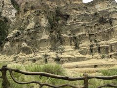 -彩色沙林风景区