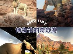 -浙江自然博物院(杭州馆)