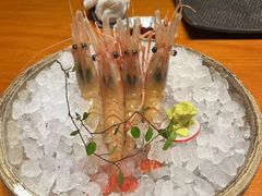 -月龍吟(朝龙汇店)