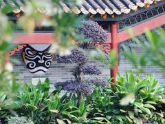 -顺峰山公园