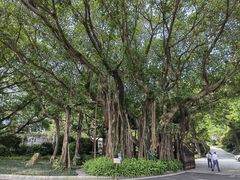 -广州市白云山风景名胜区