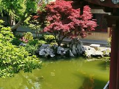 -缥缈峰景区