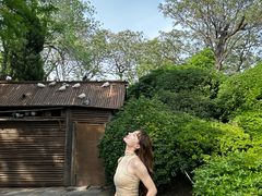 -中国翰园碑林