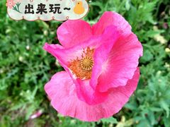 -青岛银沙滩