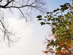 -大蜀山国家森林公园