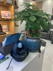 -悦颜美佳·美容·美甲美睫