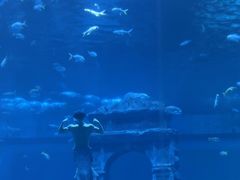 -南昌融创海世界