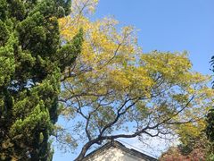 -秋霞圃