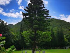 -深圳仙湖植物园