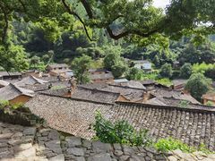-杨家堂村