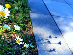 -南戴河国际娱乐中心