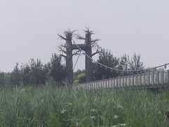 -西青郊野公园
