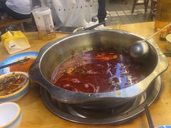 -金鼎雪山牦牛杂火锅(理县总店)