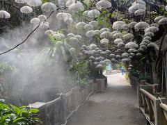 -青青世界