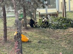 -西安秦岭野生动物园