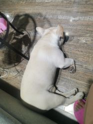 -IDEA·艾蒂尔科技美肤·日式美甲美睫集合店