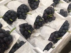 -西郊国际农产品交易中心