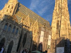 -斯蒂芬主教座堂(Stephansdom)