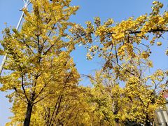 -高庙村(地铁站)