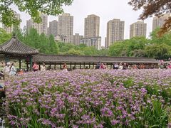 -龙头寺公园