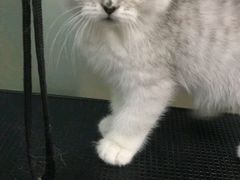 -宠爱有家宠物店(环镇北路店)