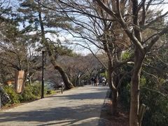 -鯛匠 HANANA
