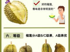 -佳园路(地铁站)